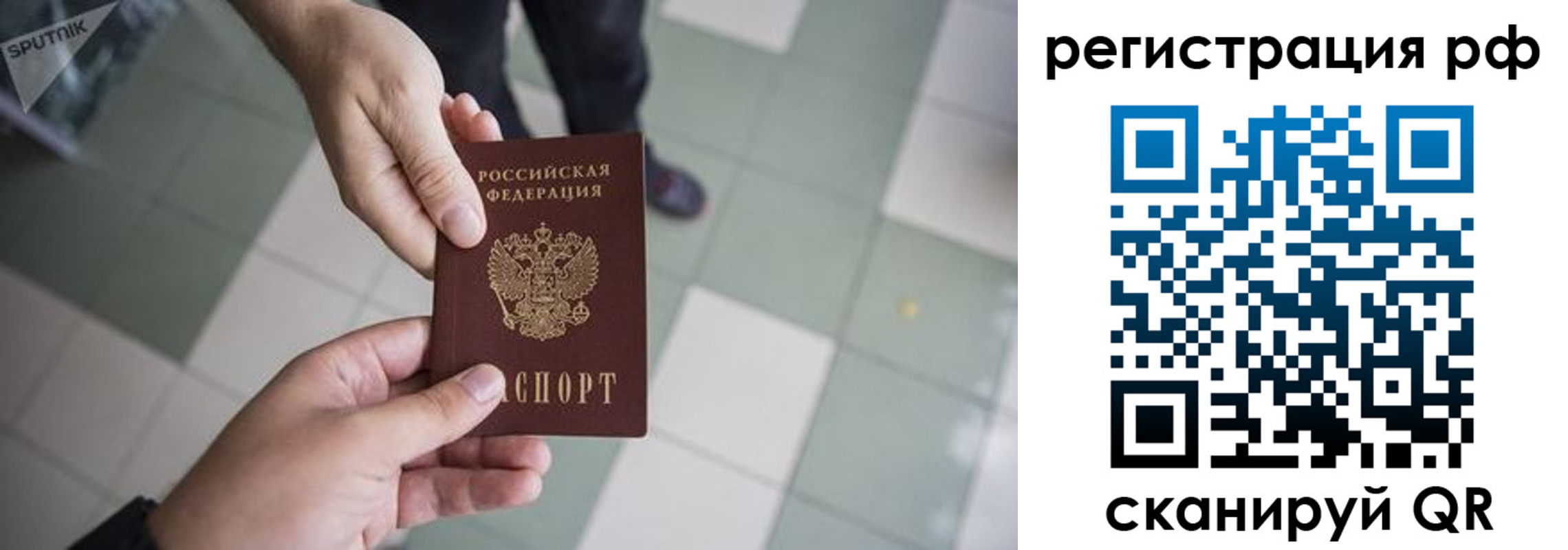 прописка гарантия в Березниках